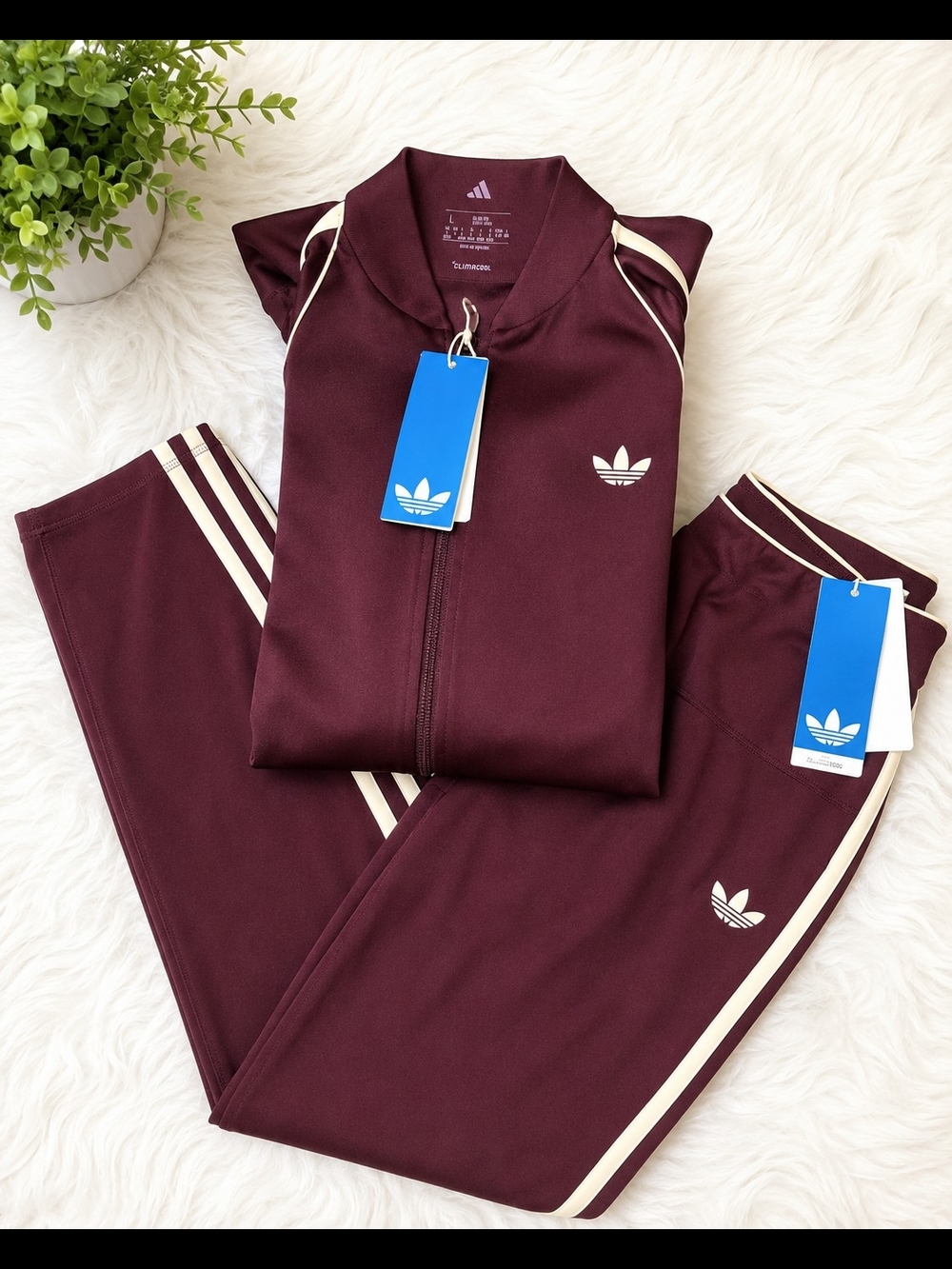adidas Originals Women's Maroon Track Jacket & Pants Set